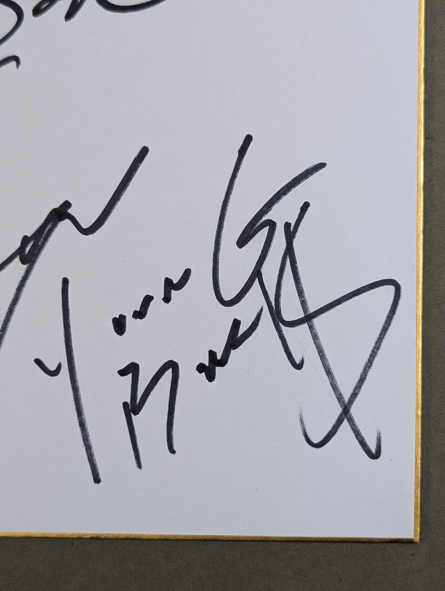 ★ Young Bucks ★ Matt Jackson & Nick Jackson (with photos)