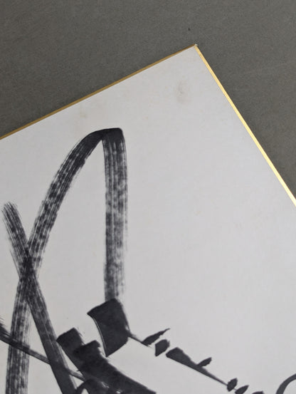 Antonio Inoki  (no fighting spirit, cut and pasted)