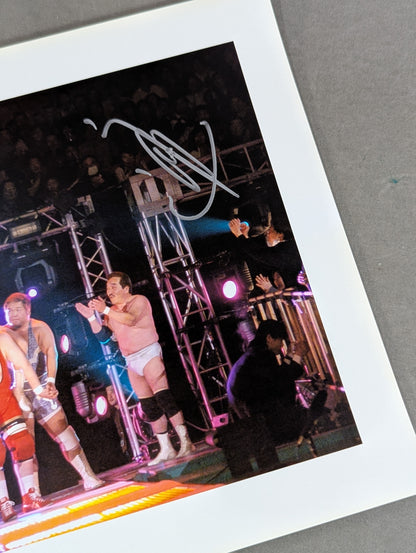 Haruka Eigen  hand signed autograph Pro-Photo (1)