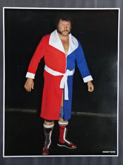 Harley Race  GONG JUMBO PIN-UP Wrestling  SELECTION