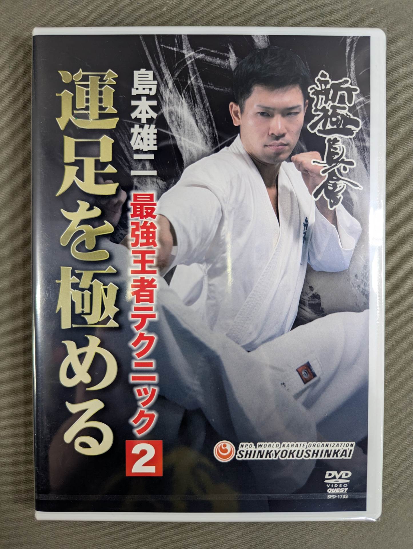 ★ ★ New Kyokushinkai Yuji Shimamoto Strongest Champion Technique 2 Mastering Luck