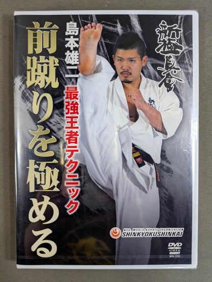 ★ ★ New Kyokushinkai Yuji Shimamoto Strongest Champion Technique Master Front Kick