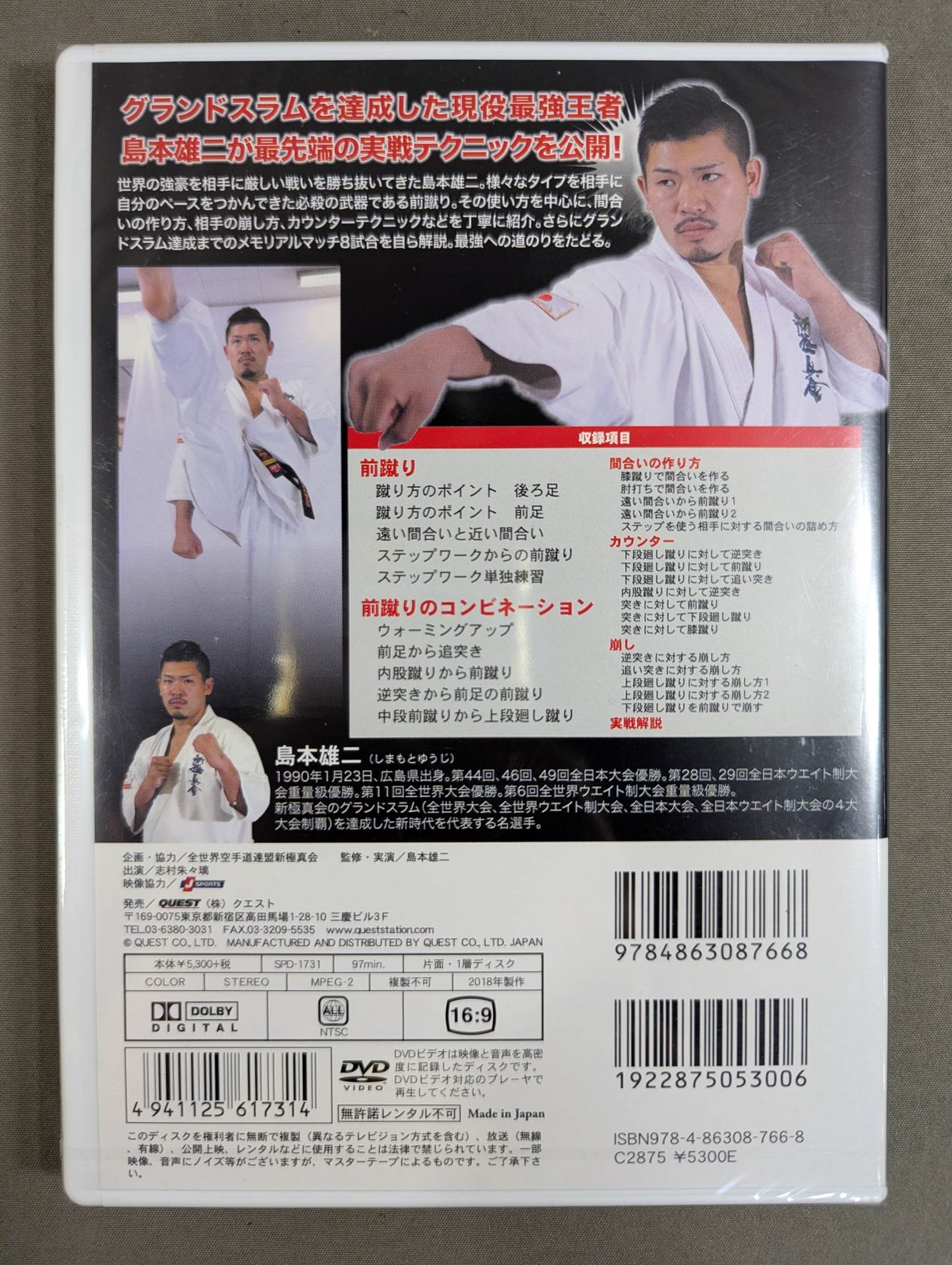 ★ ★ New Kyokushinkai Yuji Shimamoto Strongest Champion Technique Master Front Kick