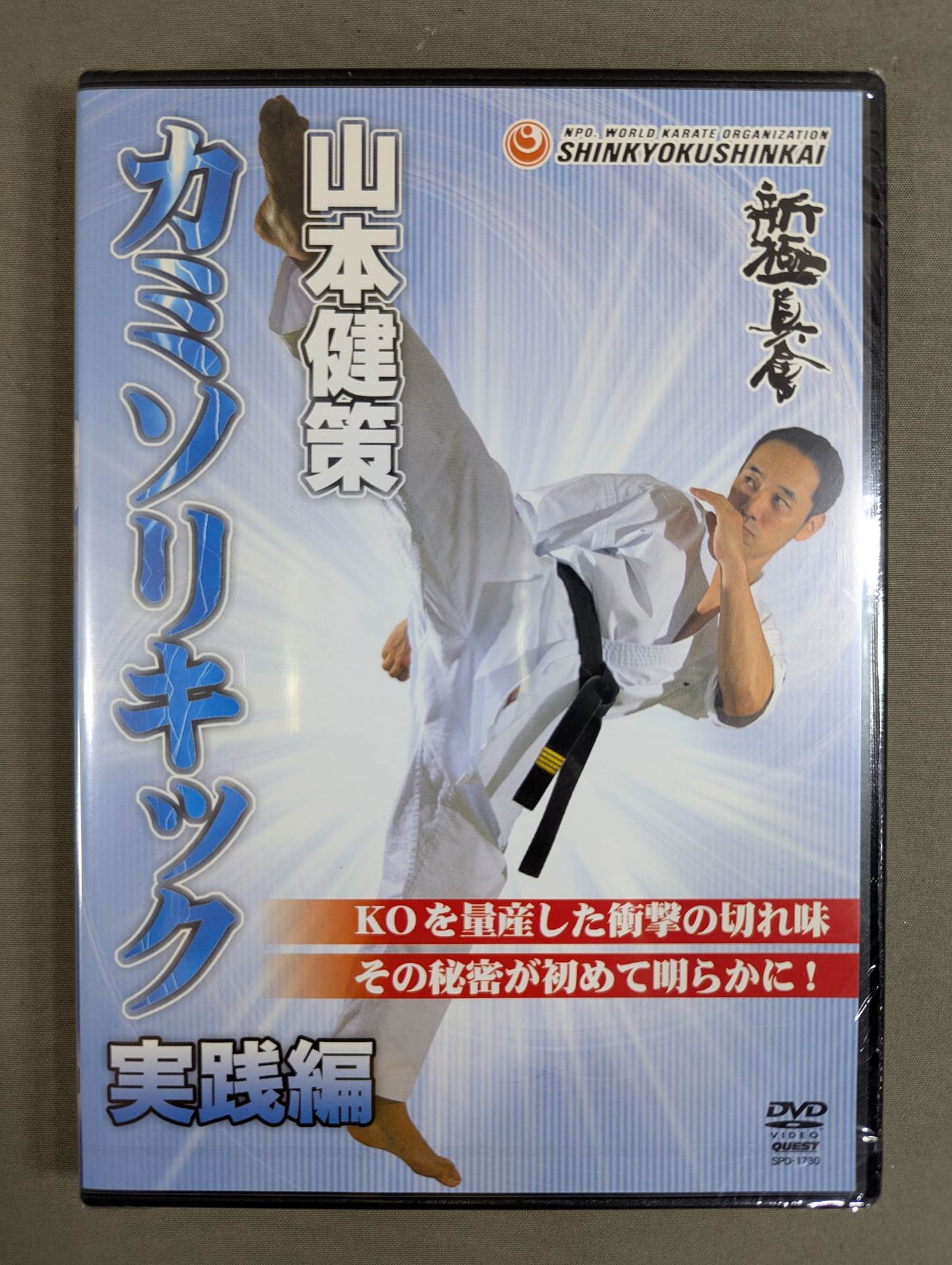★ ★ New Kyokushinkai Kensaku Yamamoto Razor Kick Practice