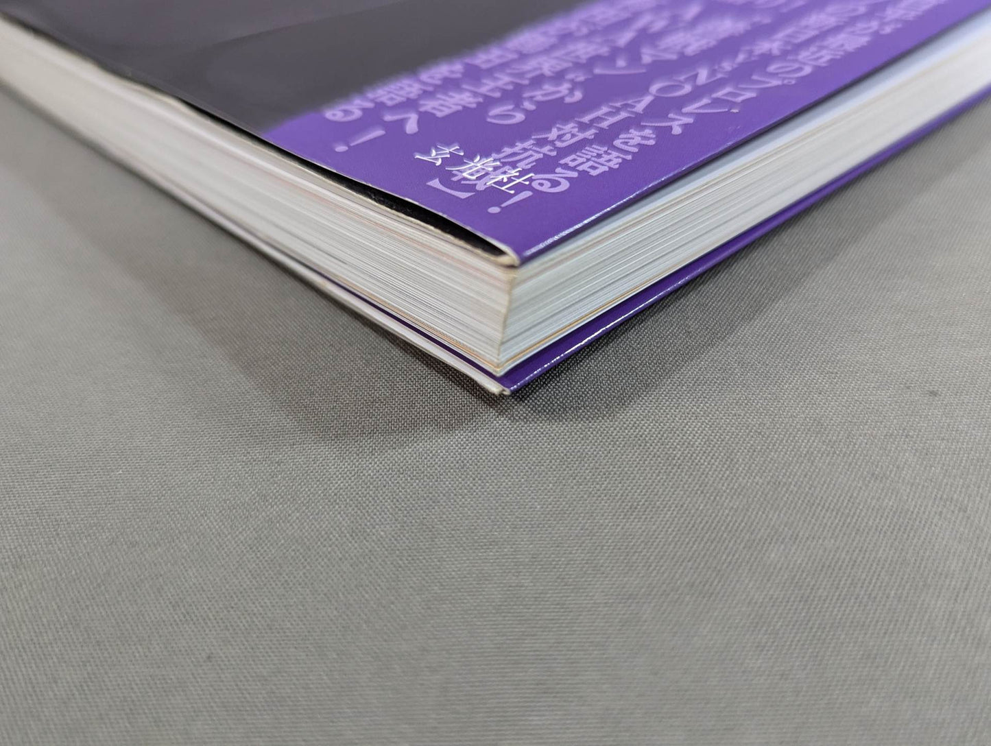 有田哲平のプロレス噺 オマエ有田だろ!! 公式ガイドブック