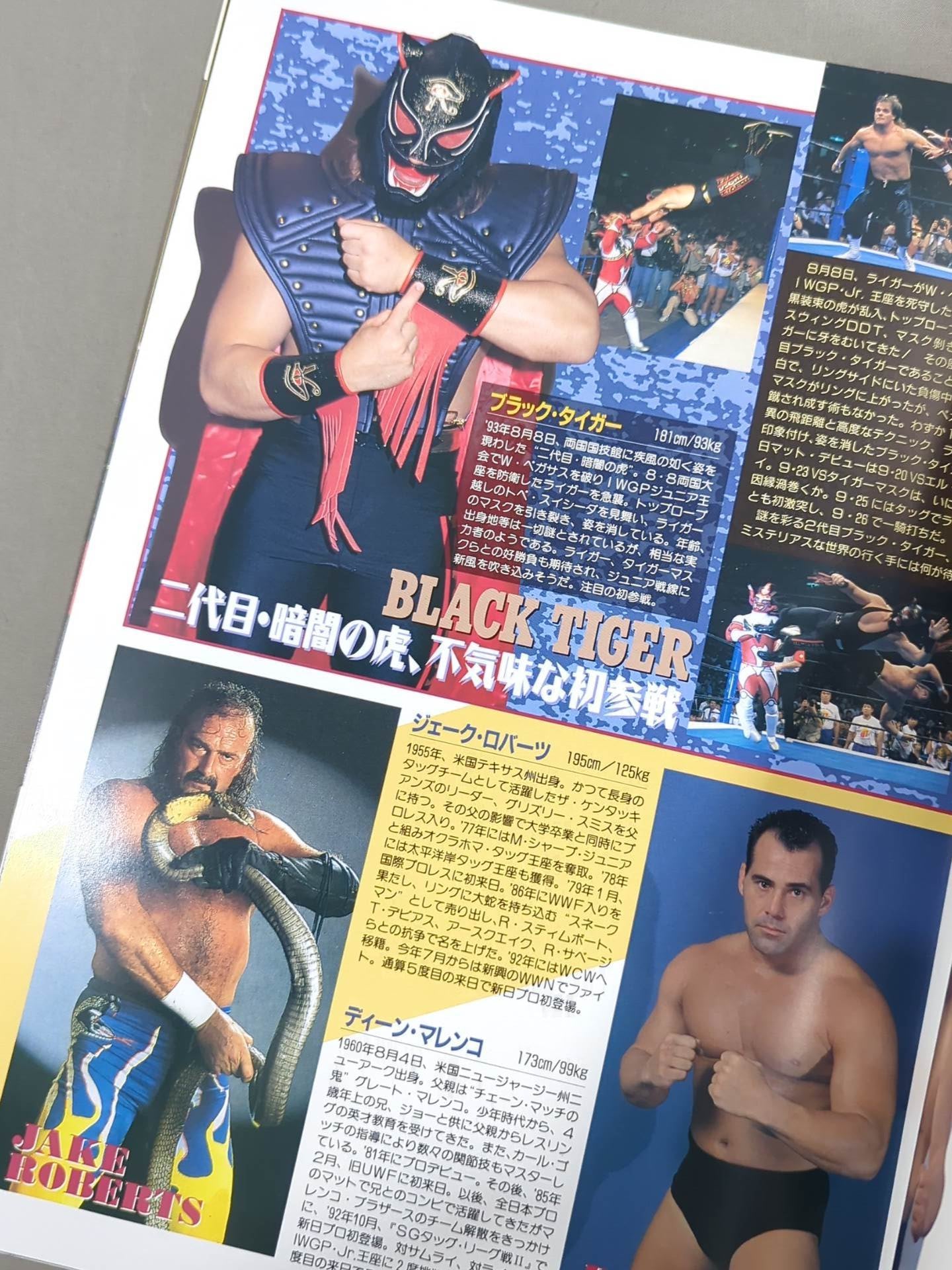 ★ Muta vs Hashimoto IWGP Fighting ★ Spirit Special 88