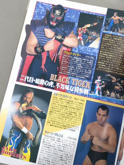 ★ Muta vs Hashimoto IWGP Fighting ★ Spirit Special 88