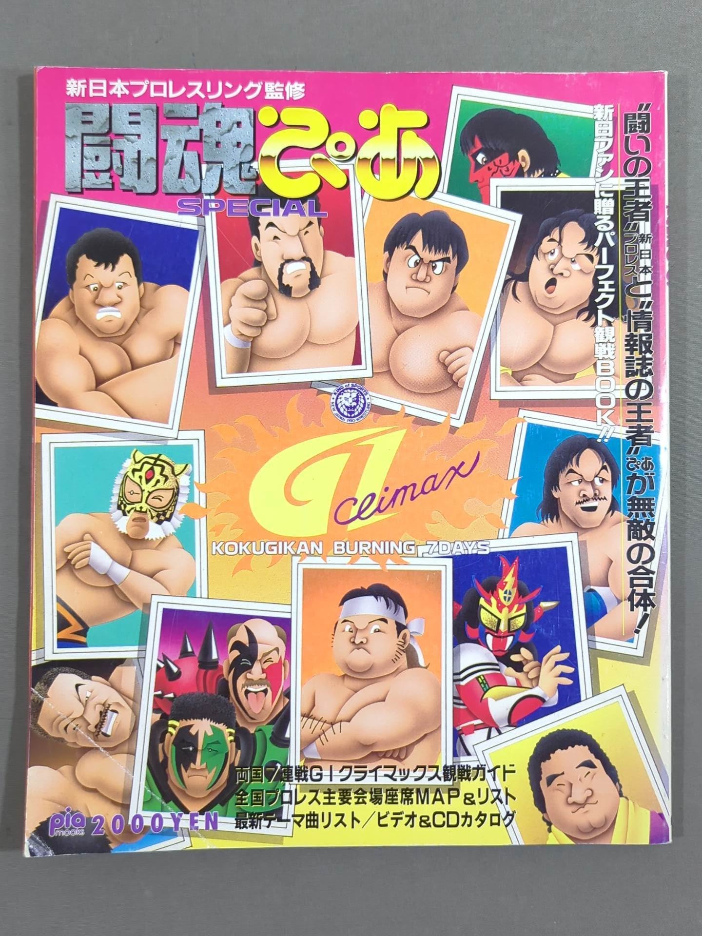 Fighting Spirit Pia SPECIAL G1 Climax