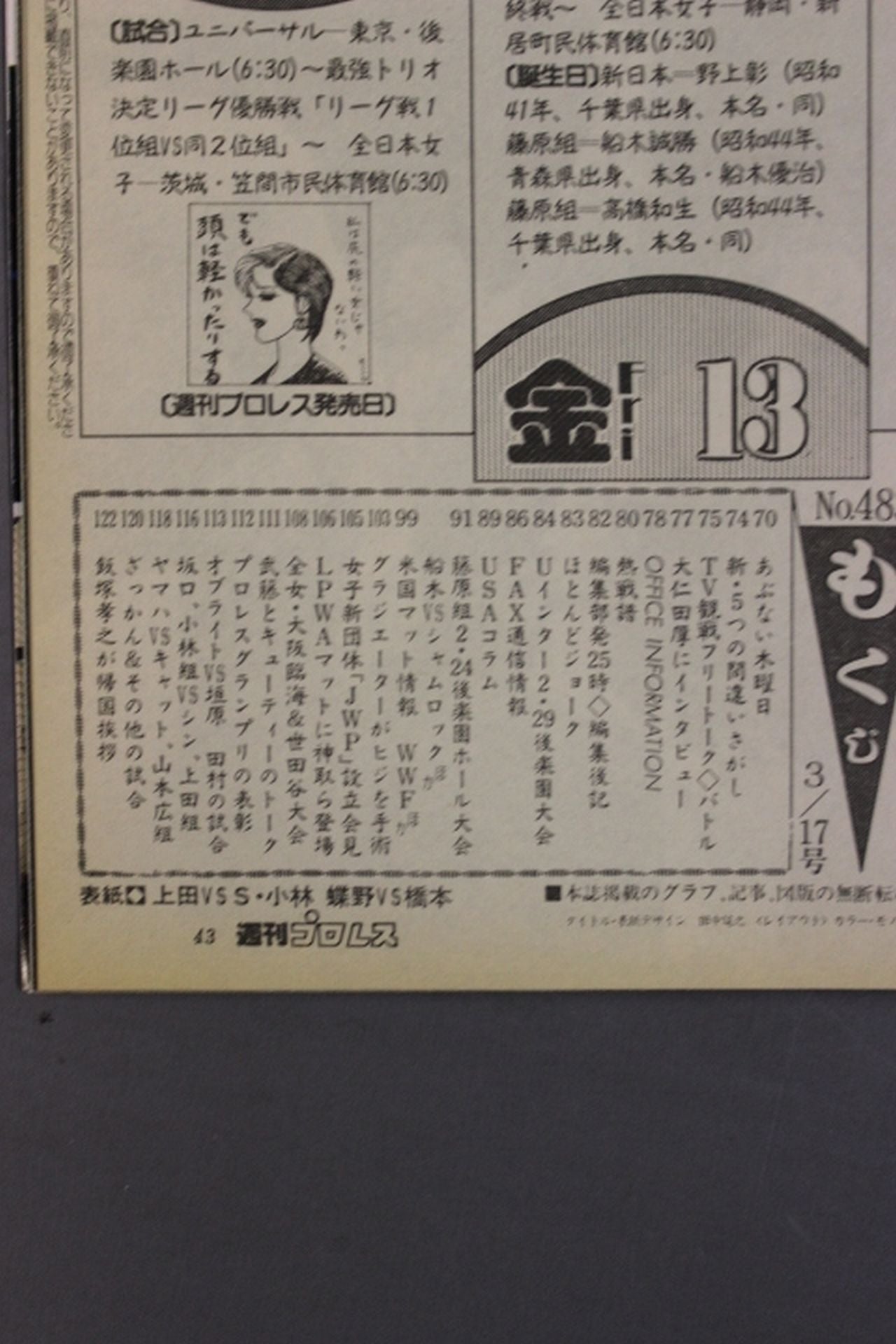 Weekly Pro Wrestling  483