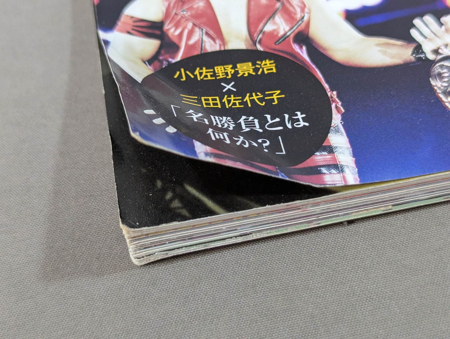 Zero Era Heisei Pro Wrestling  100 Great Names