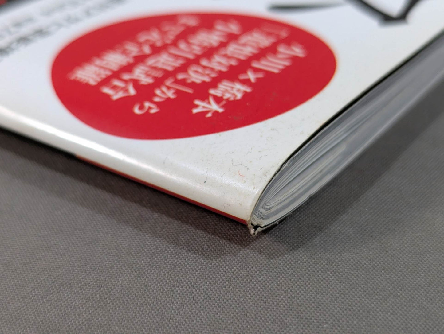 Zero Era Heisei Pro Wrestling  100 Great Names