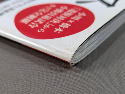 Zero Era Heisei Pro Wrestling  100 Great Names