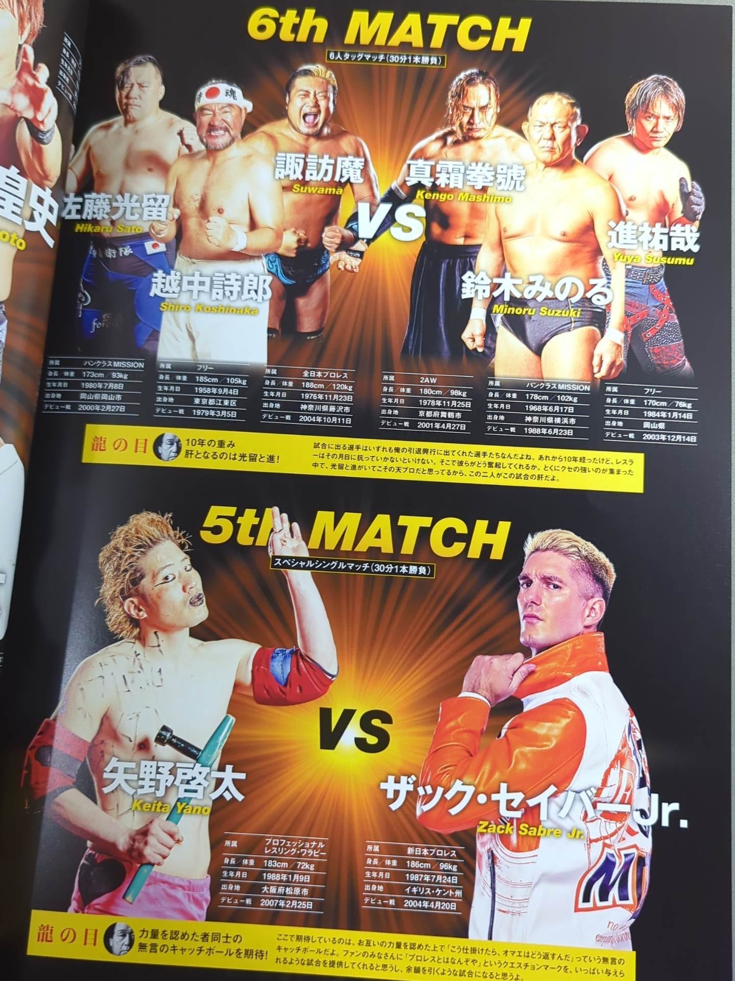 Tenryu Genichiro  10th Anniversary Box Office ~Revolutionary Flight~