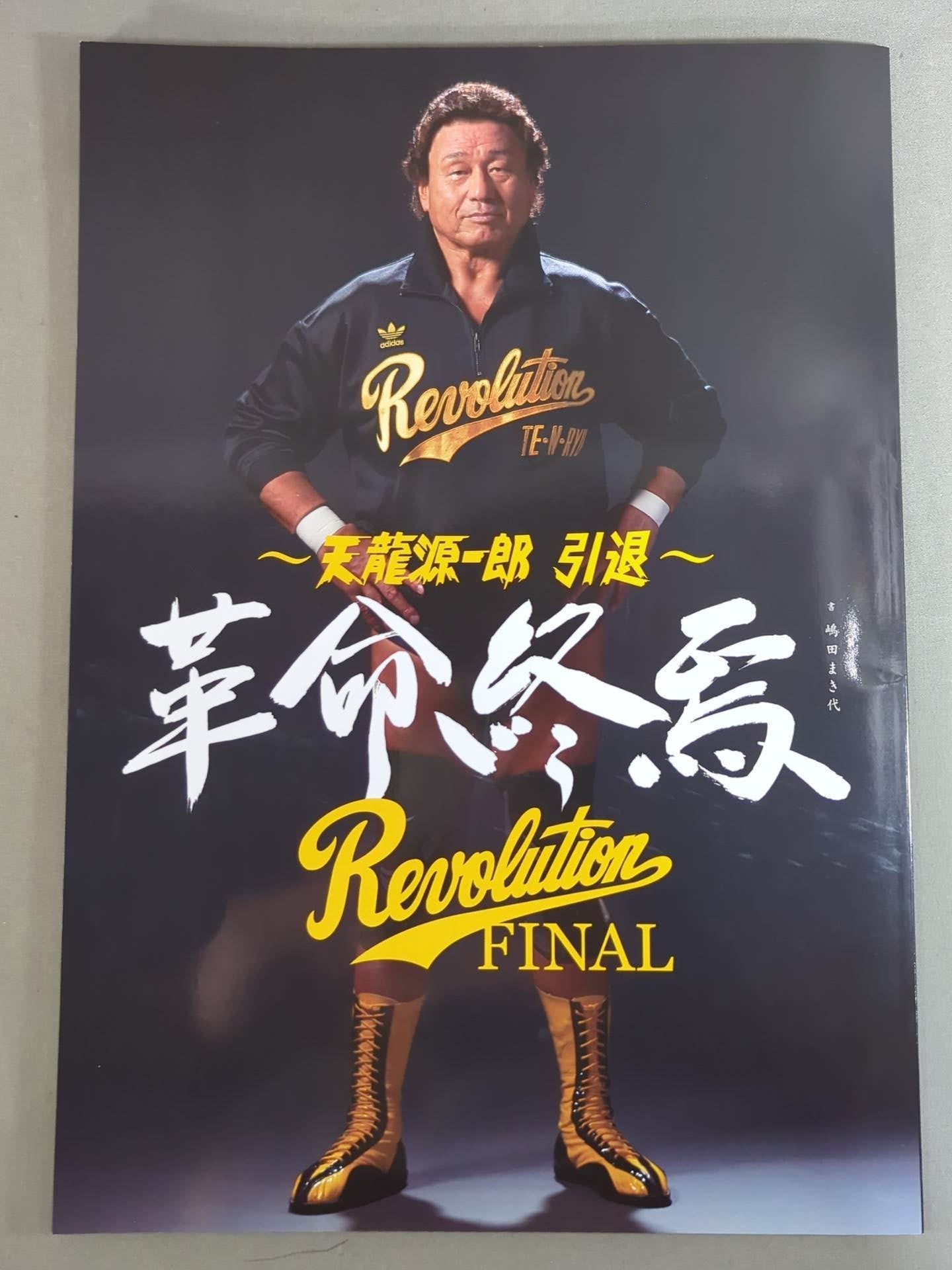 Tenryu Genichiro  10th Anniversary Box Office ~Revolutionary Flight~