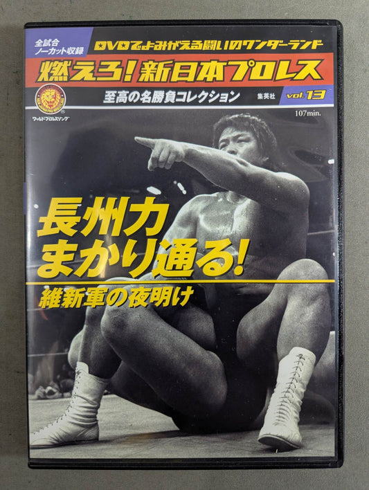 Burn! New Japan Pro Wrestling  vol.13