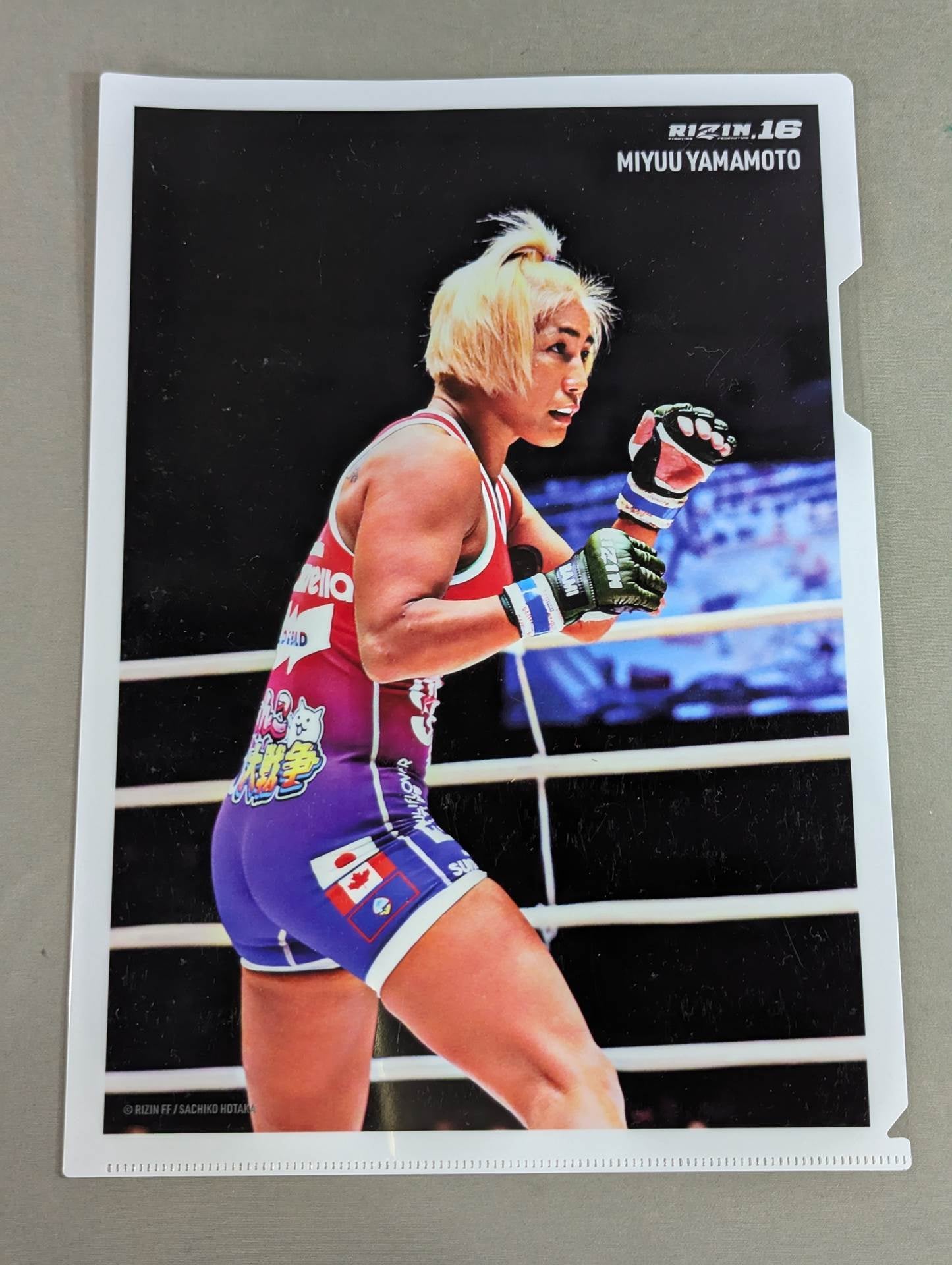 RIZIN.16 plastic file folder  set