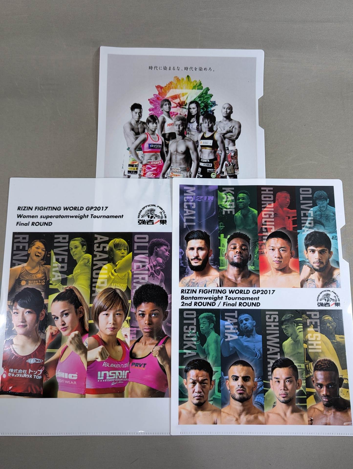 RIZIN plastic file folder sets(2)