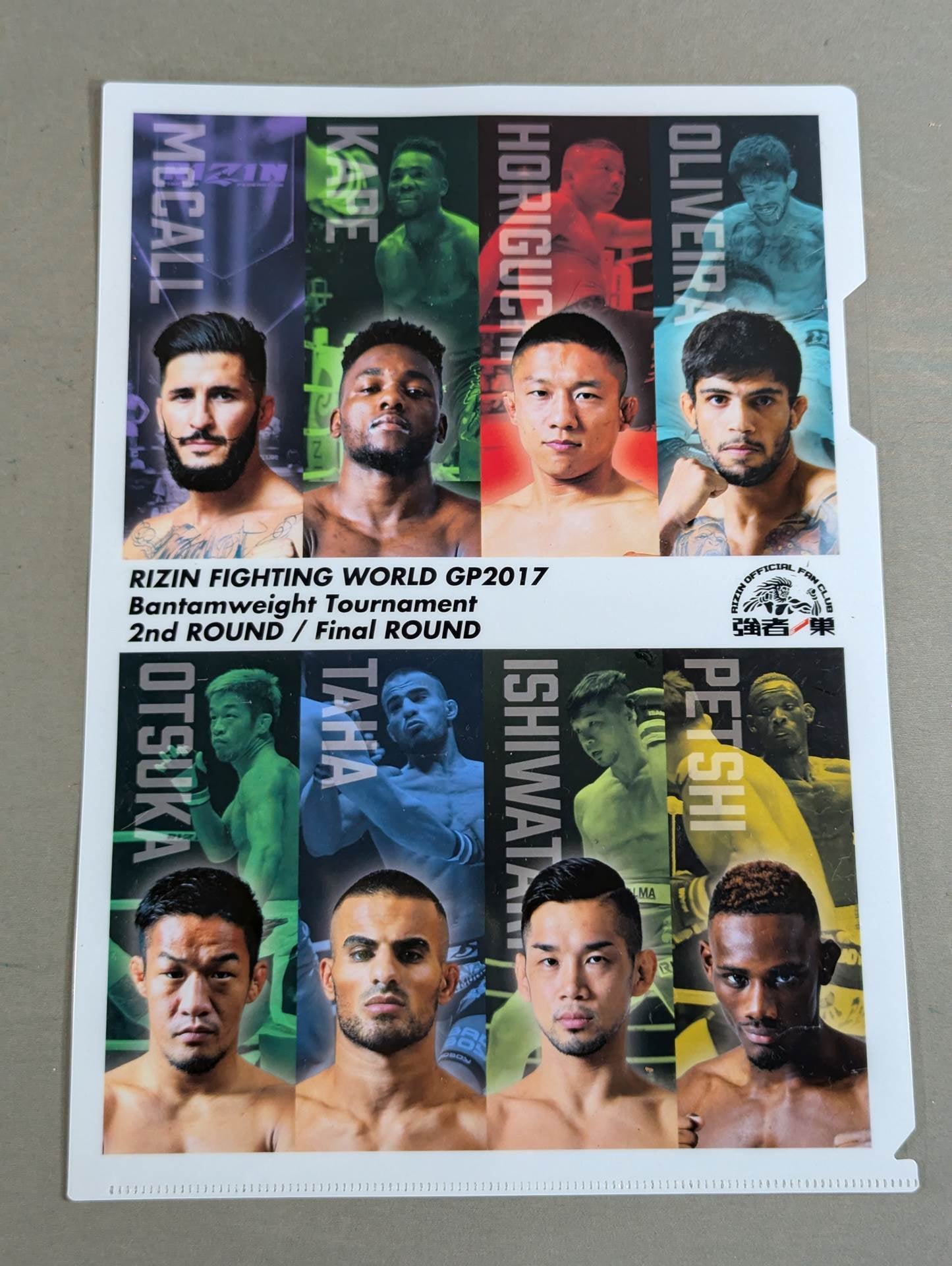 RIZIN plastic file folder sets(2)