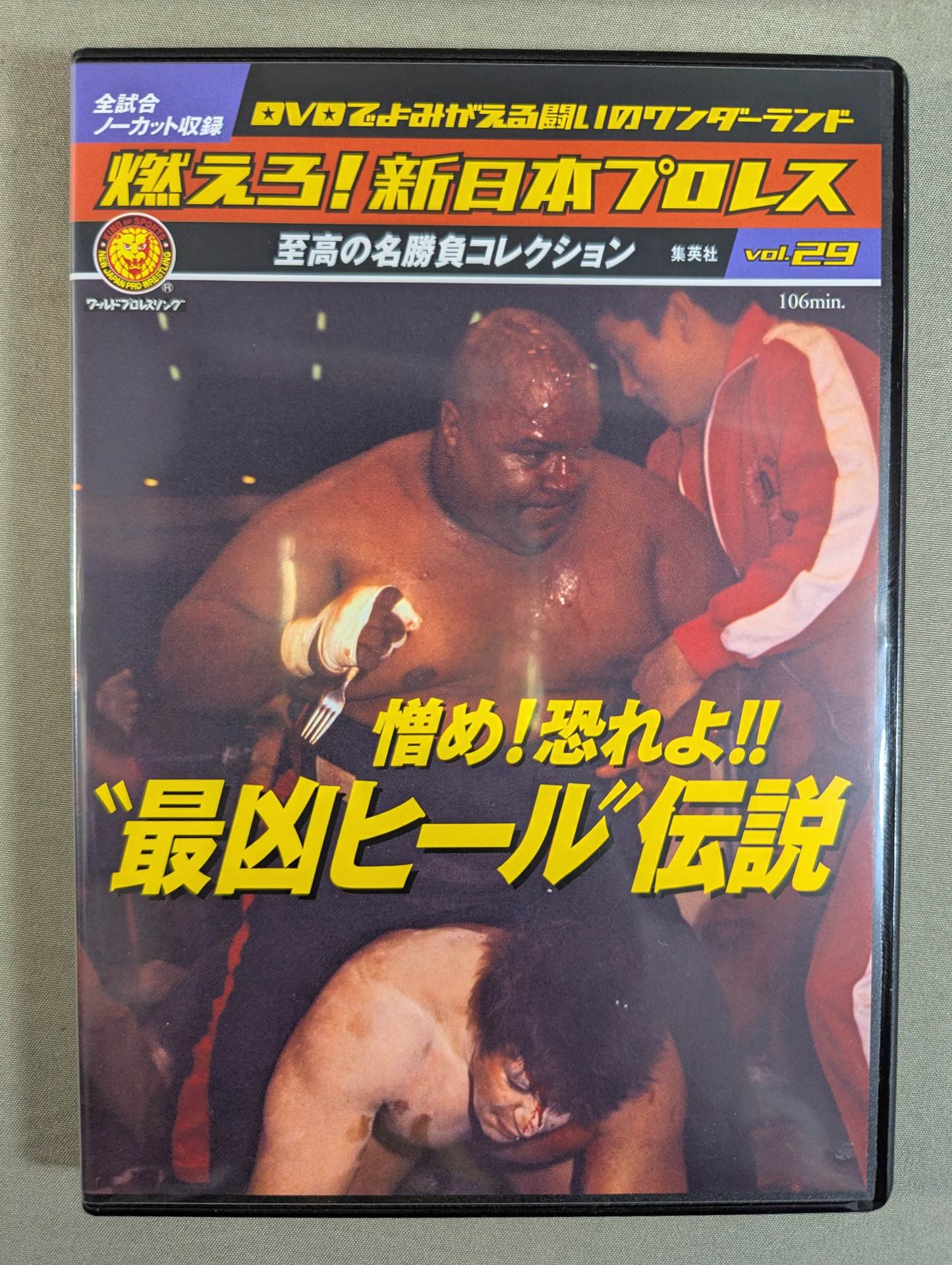 Burn! New Japan Pro Wrestling  vol.29