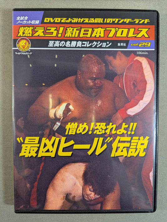 Burn! New Japan Pro Wrestling  vol.29