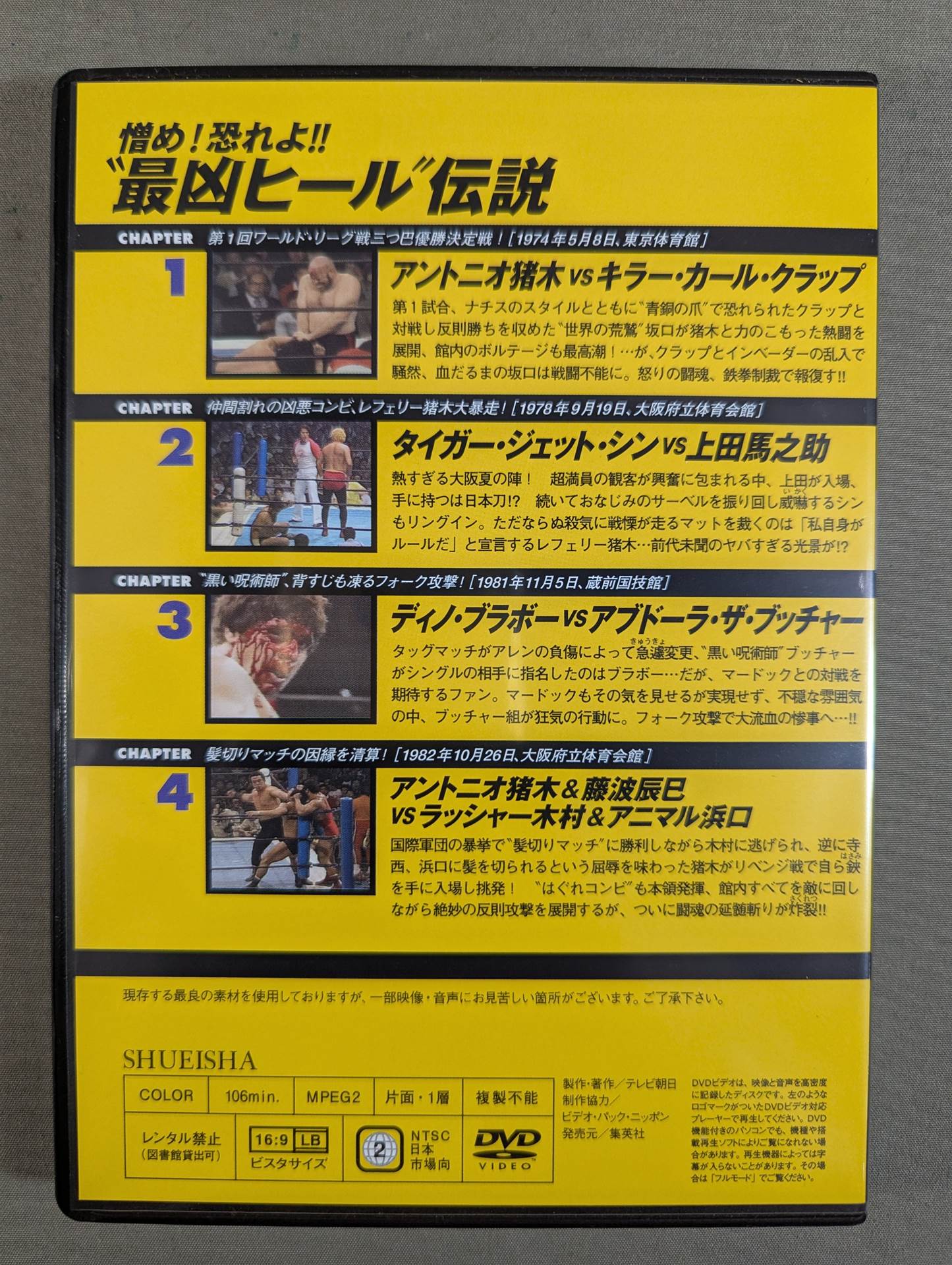 Burn! New Japan Pro Wrestling  vol.29