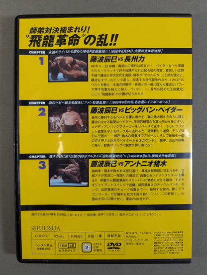 Burn! New Japan Pro Wrestling  vol.36