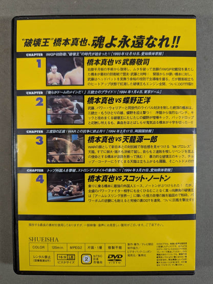 Burn! New Japan Pro Wrestling  vol.34