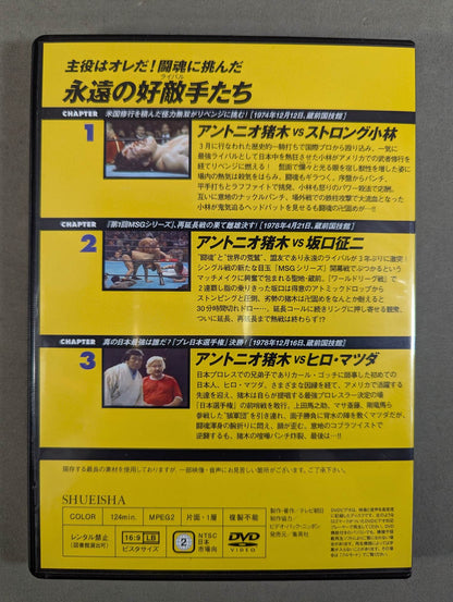 Burn! New Japan Pro Wrestling  vol.41