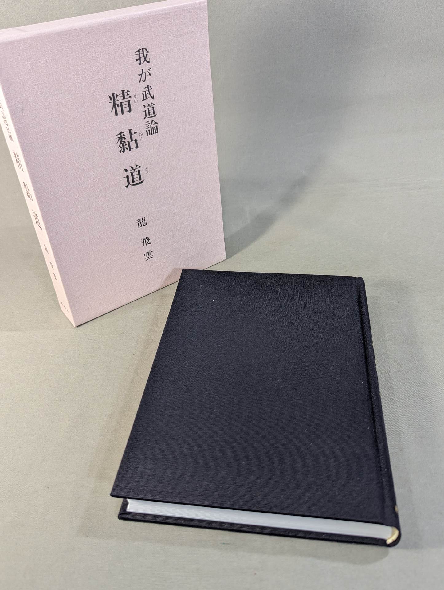 My Martial Arts Theory Seinendo