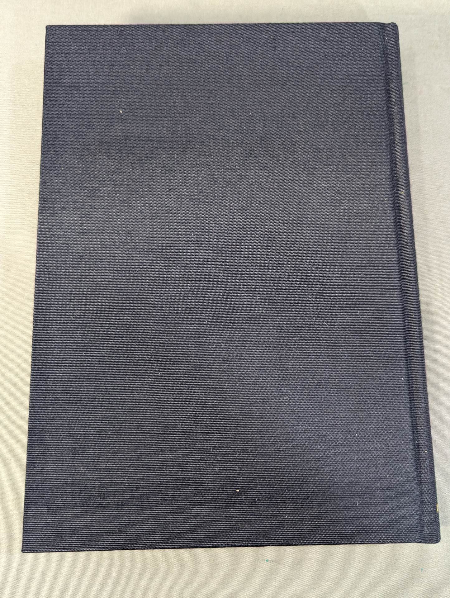 My Martial Arts Theory Seinendo