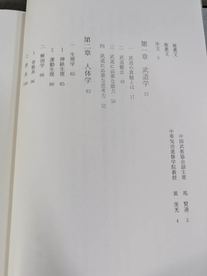 My Martial Arts Theory Seinendo