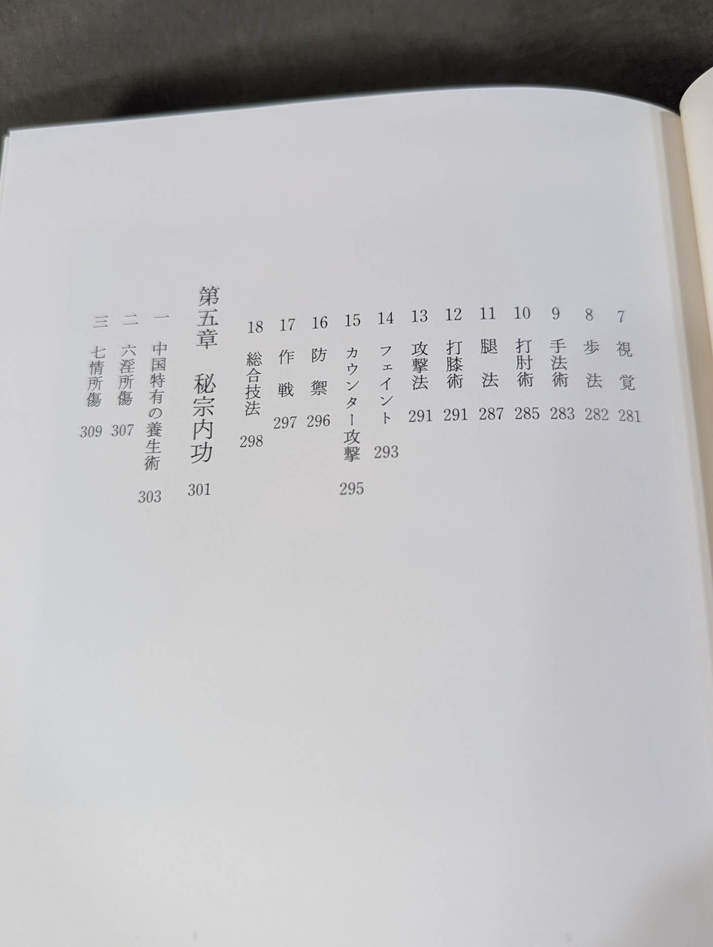 My Martial Arts Theory Seinendo