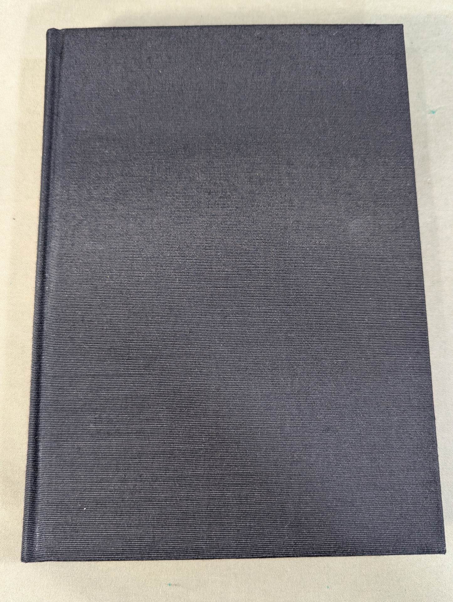 My Martial Arts Theory Seinendo