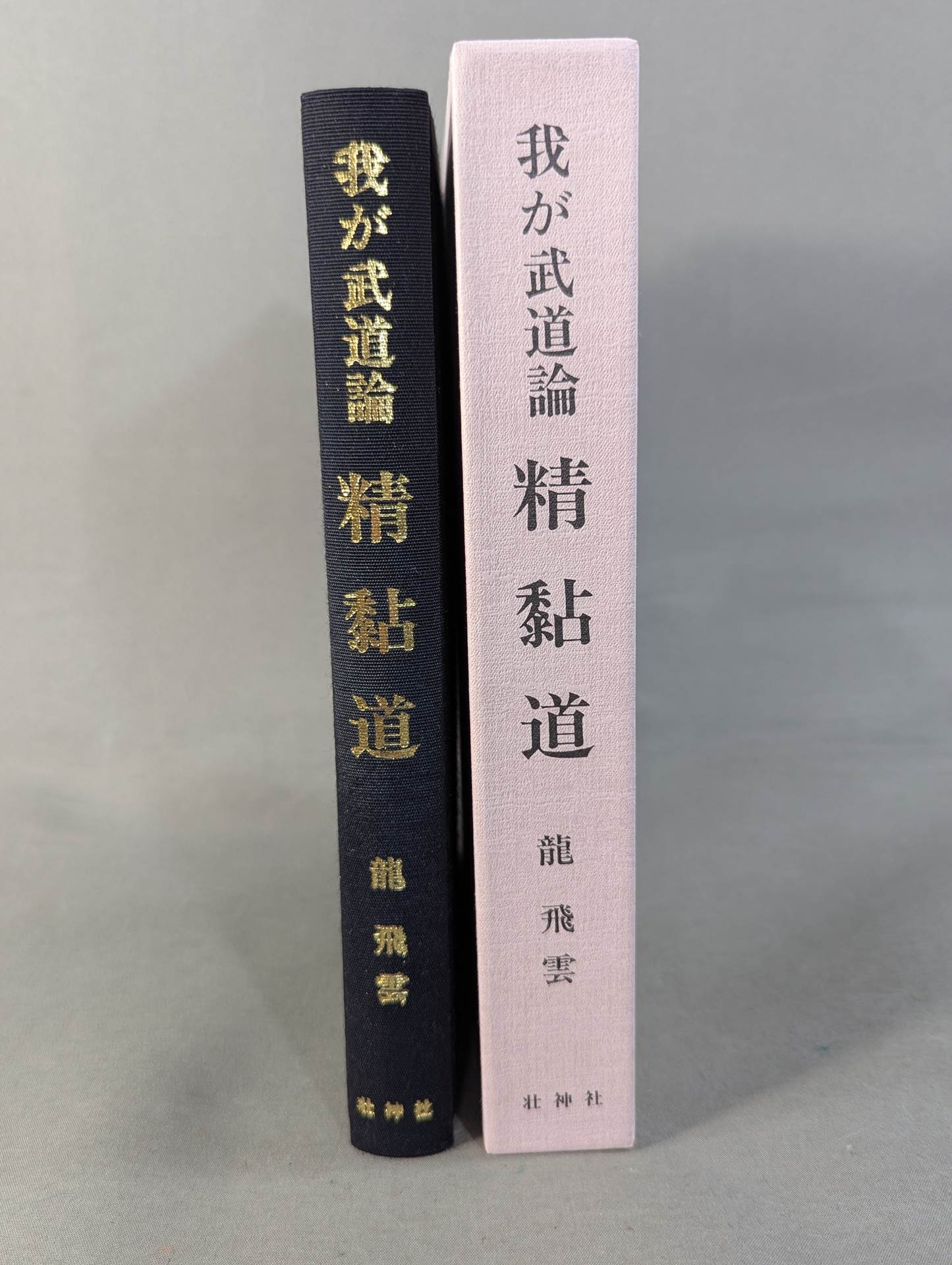 わが武道論 精黏道(せいねんどう) – 闘道館