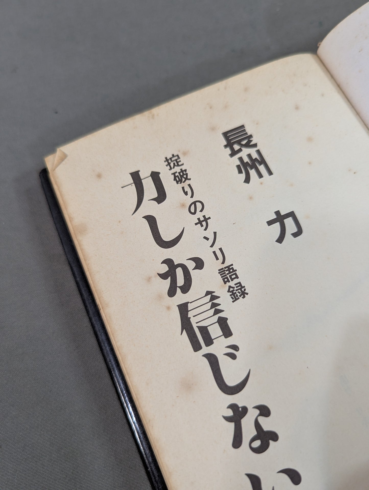 力しか信じない 掟破りのサソリ語録