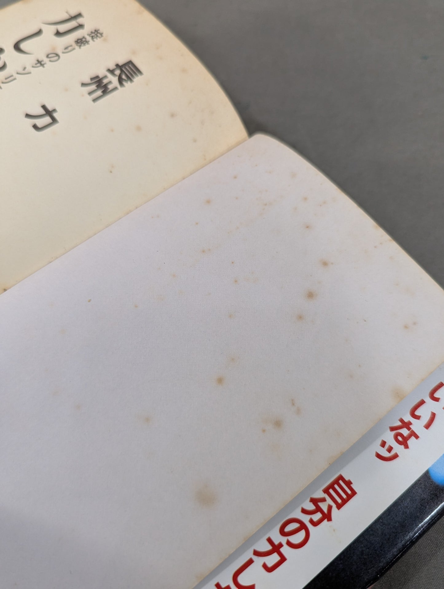 力しか信じない 掟破りのサソリ語録