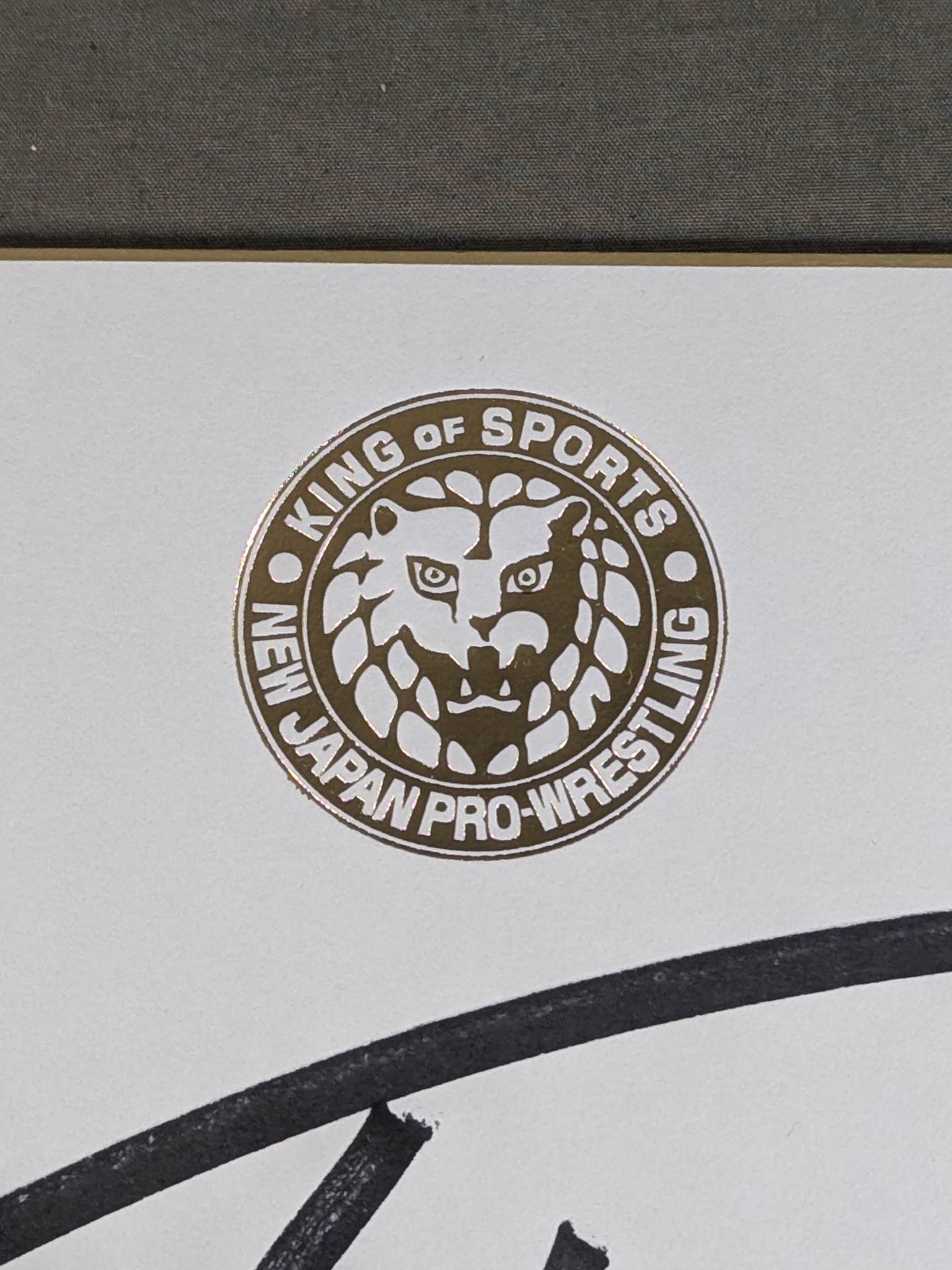 Hiromu Takahashi (Lion Mark ) Shikishi ( Autograph board ) )