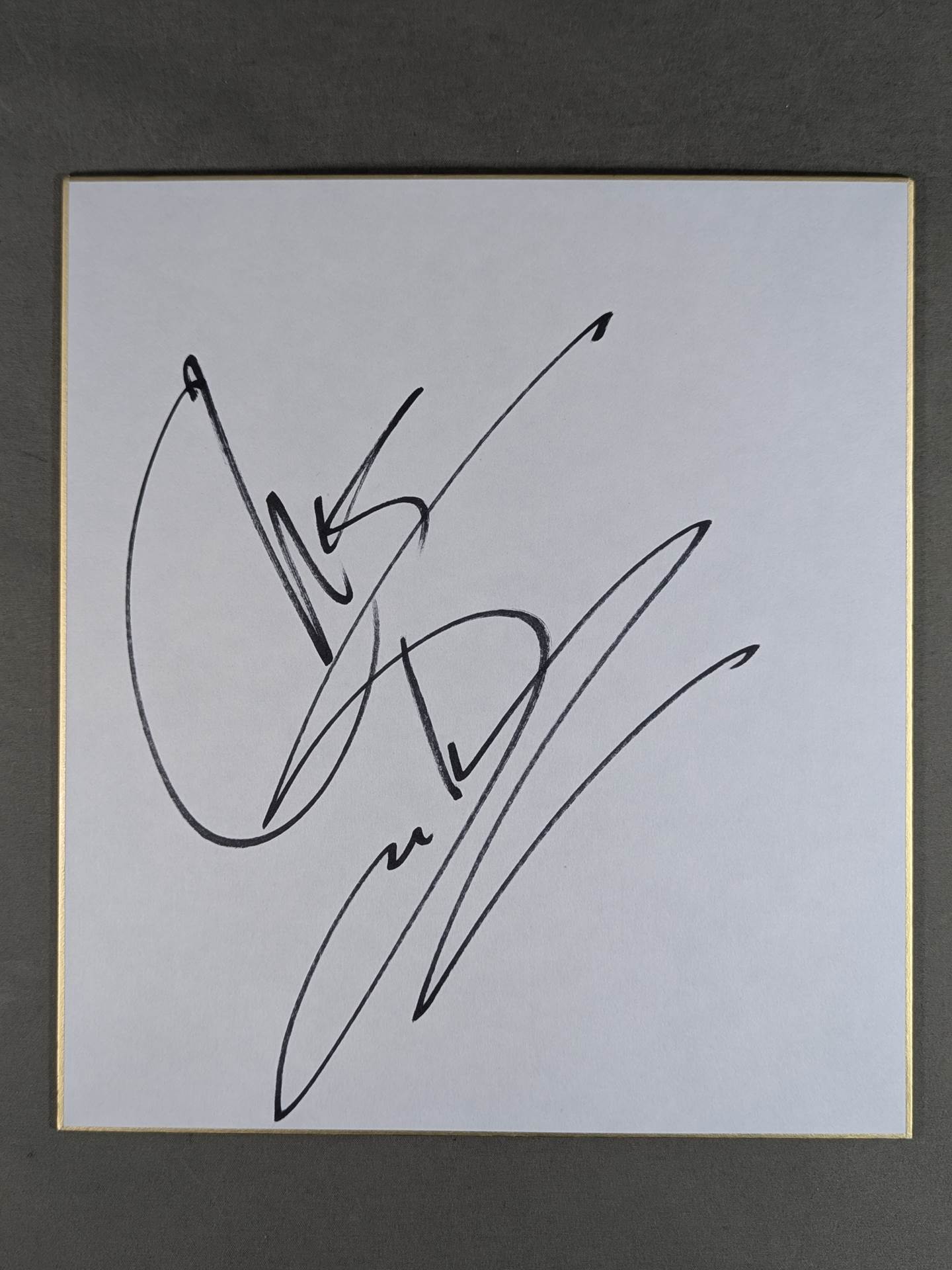 直筆サイン入り写真 クレイグ・ロビンソン ディス・イズ・ジ・エンド SA鑑定済 クリス・セイビン – 闘道館