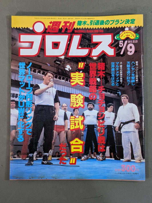 Weekly Pro Wrestling 313