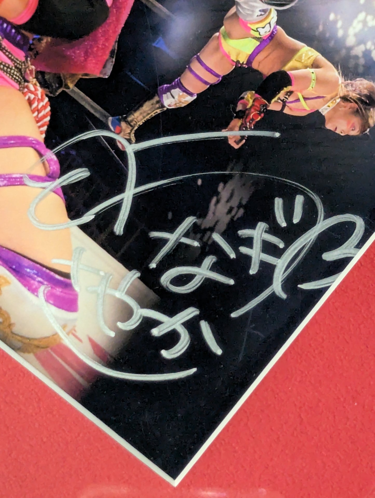 中野たむ＆白川未奈＆ウナギ・サヤカ 3選手直筆サイン入り記念フォトフレーム