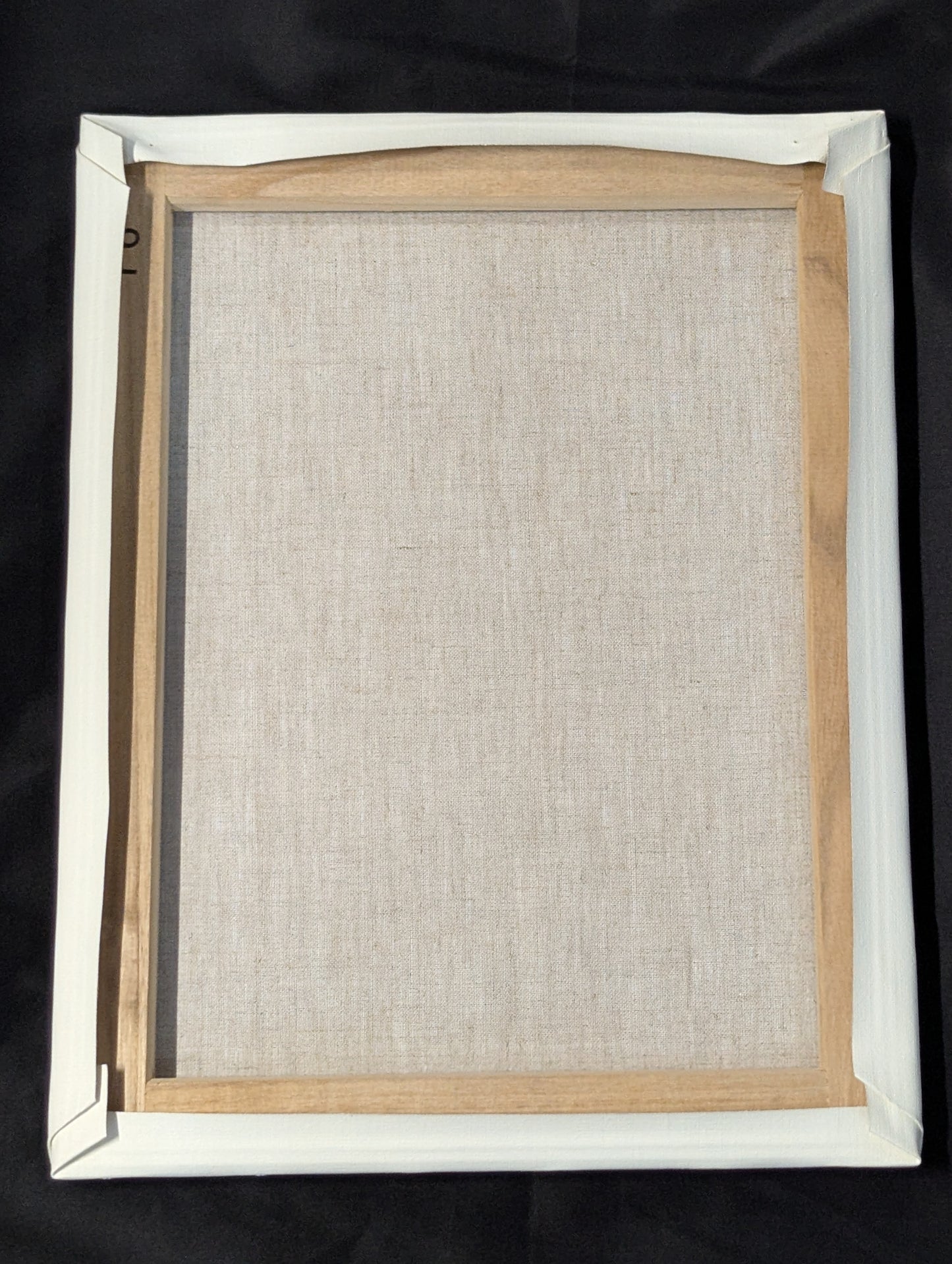 ウナギ・サヤカ キャンバスパネル