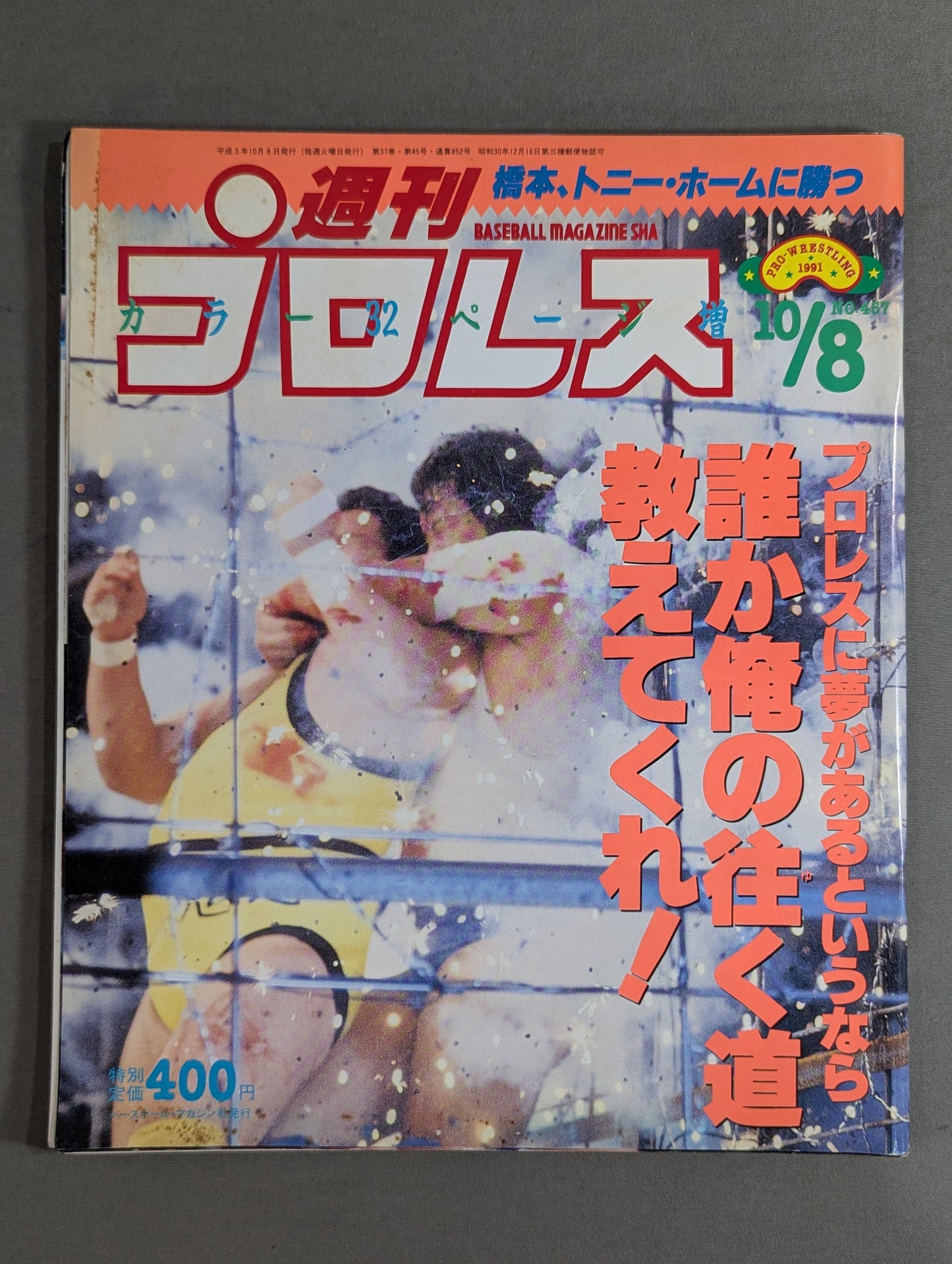 Weekly Pro Wrestling  457