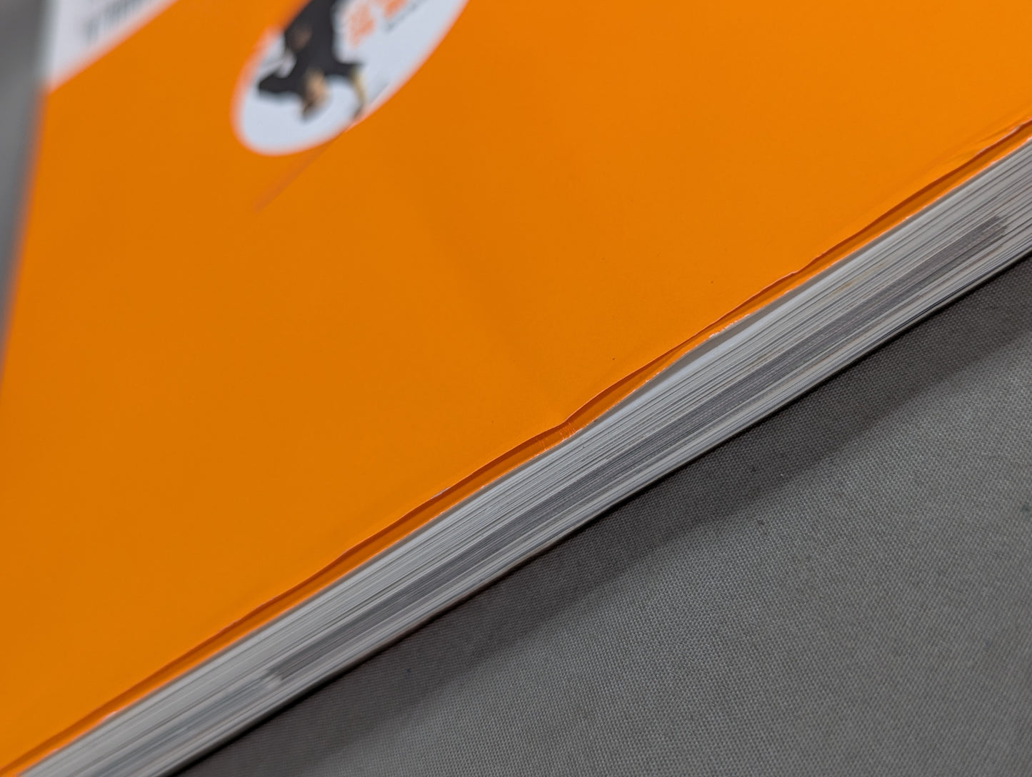 【DVD付】甲野善紀 進化の過程 術理の変遷を一冊に凝縮!