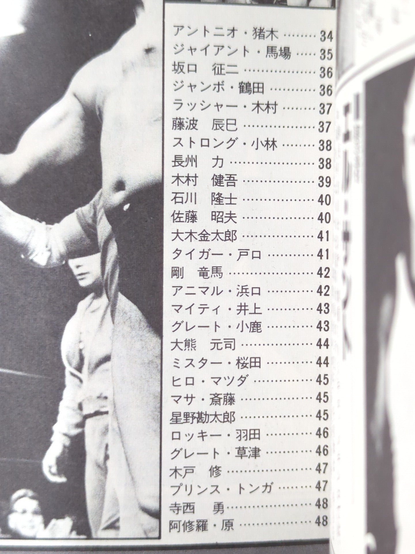 82年版 レスラー名鑑 / BEST FIGHTERS