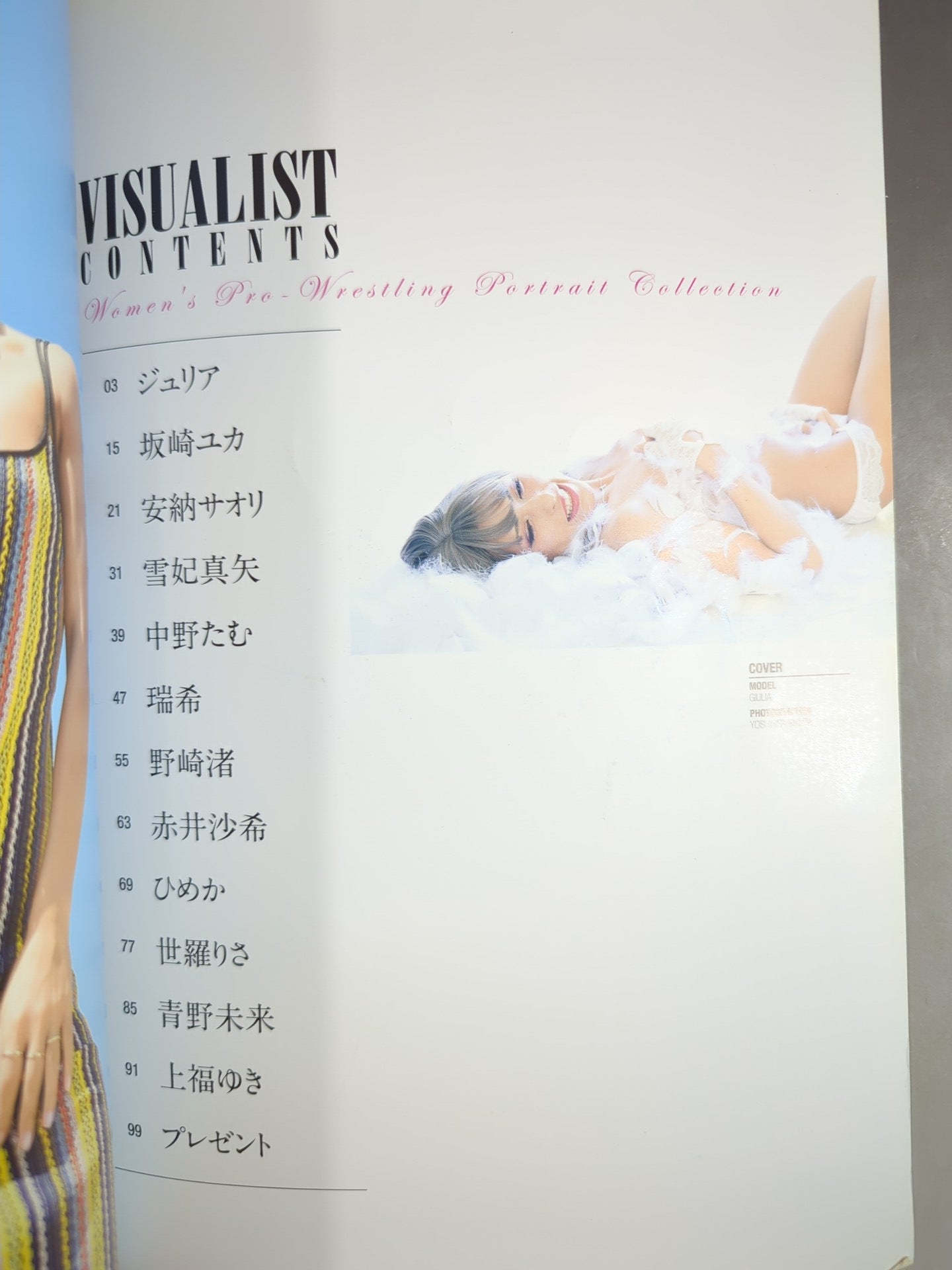 Women's pro wrestler  VISUALIST[Visualist] Sports Album No.64