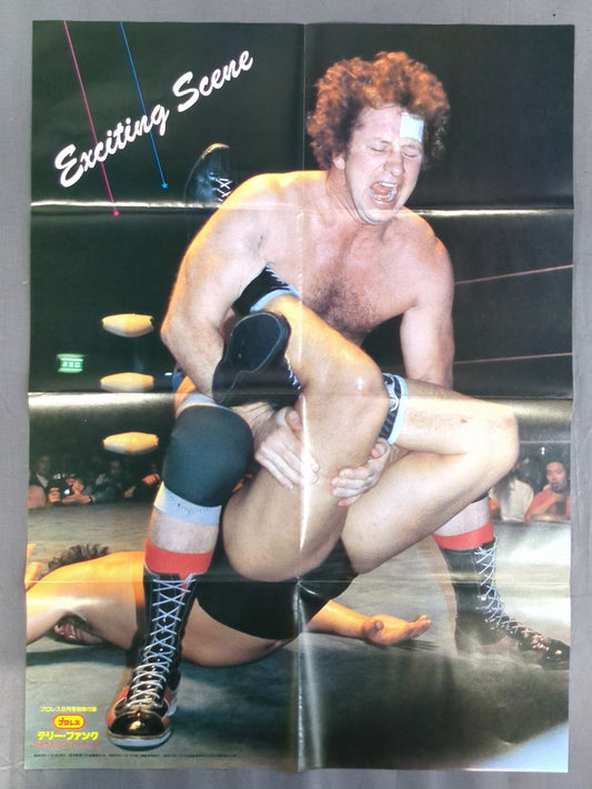 テリー・ファンク 雑誌付録ポスター