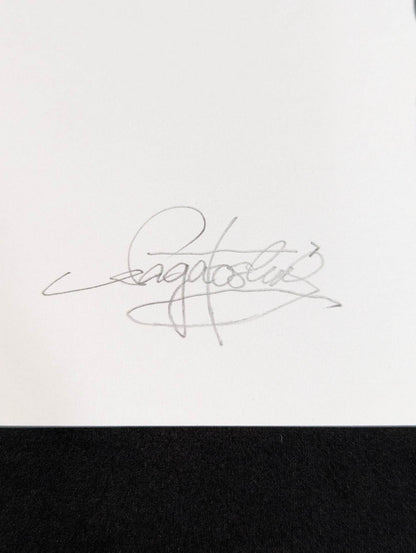 ★ Nagatoshi Sakai 's original drawing work ★ "The Legend of Misawa Tiger" 2nd  Tiger Mask (Geji Geji)