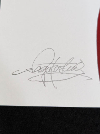 ★ Nagatoshi Sakai original painting work ★ "Four-dimensional killing method" The first tiger mask (Palki)