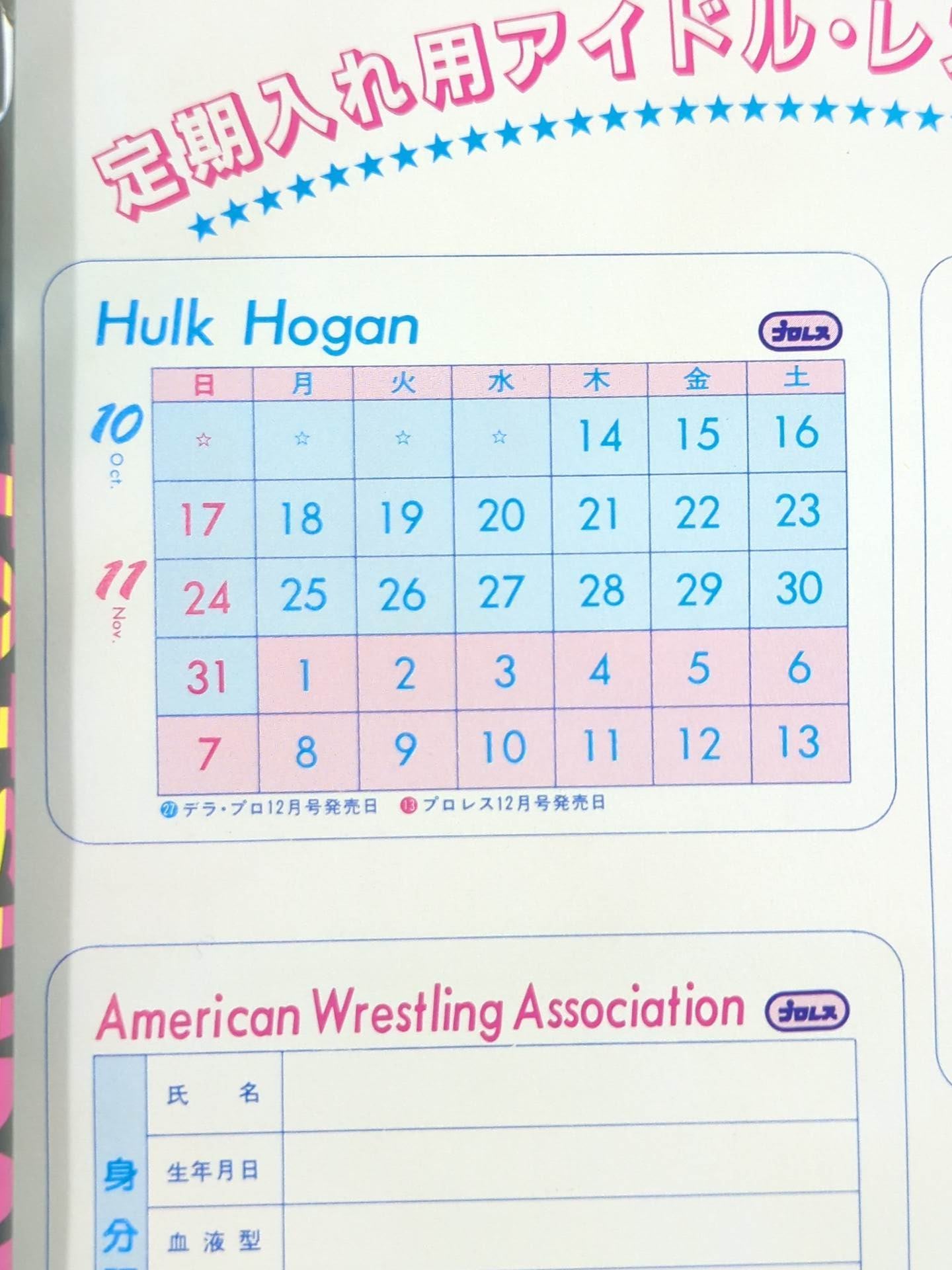 Hulk Hogan  Wrestler Cards(1)