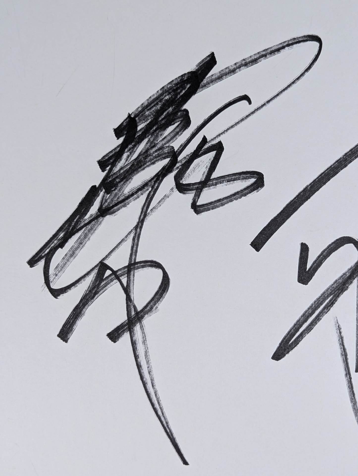 武藤敬司＆蝶野正洋 – 闘道館